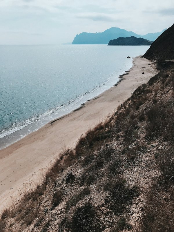 Comment choisir une croisière qui offre des excursions pour découvrir les forêts de séquoias en Californie?